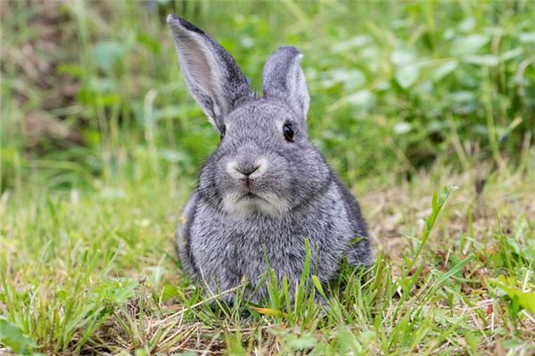 好聽的名字:吳俐