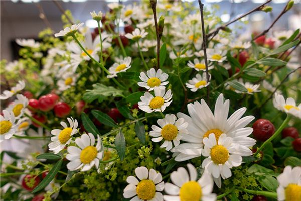 許陽麗的姓名打分結果_許陽麗五行分析