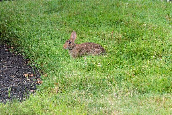 名字評分:吳蕙蘭