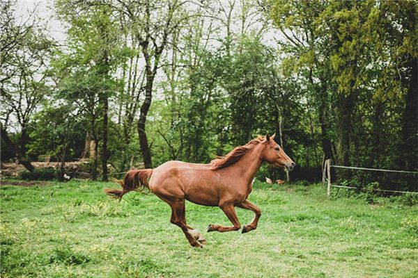 沈北海的姓名打分結果_沈北海五行分析