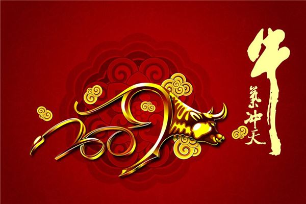 寶寶怎么取名_改名字需要什么手續