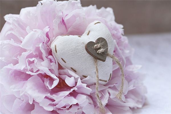 馬年出生的男孩名字孝字輩