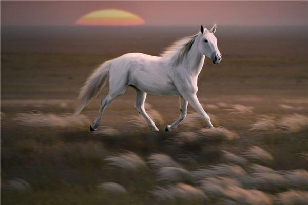 好聽的名字:吳致遠