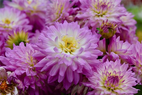 好聽的名字_在線免費取名