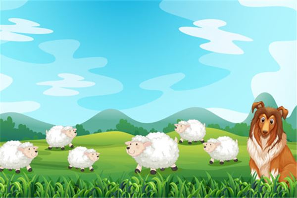 姓名得分_孫茂勛