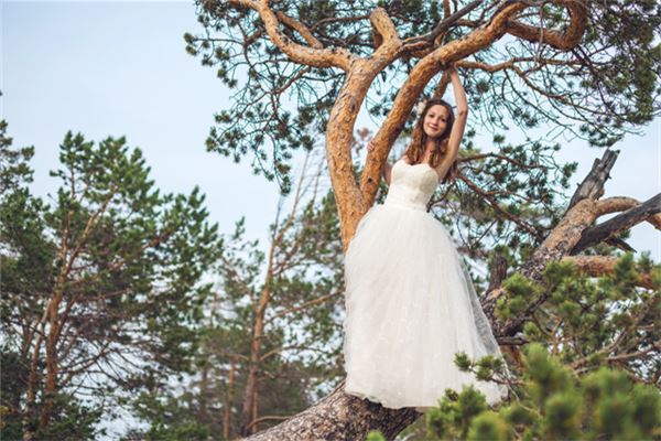 五格起名:吳樂英