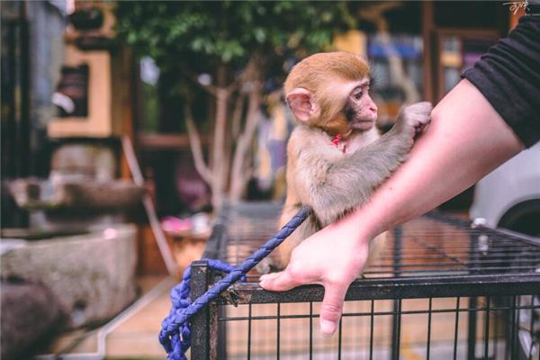 姓名得分:吳嬌潔