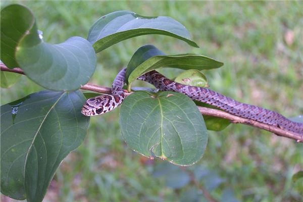 汪洪超的姓名打分結果_汪洪超五行分析