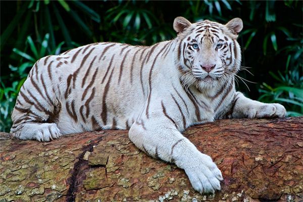 2021姓名取名技巧_男孩好聽有內涵的名字  第1張