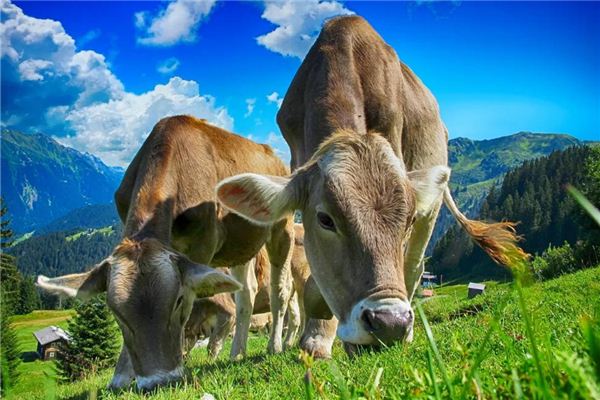 姓名得分測試_孫子璇