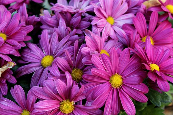 沈愛栩的姓名打分結(jié)果_沈愛栩五行分析