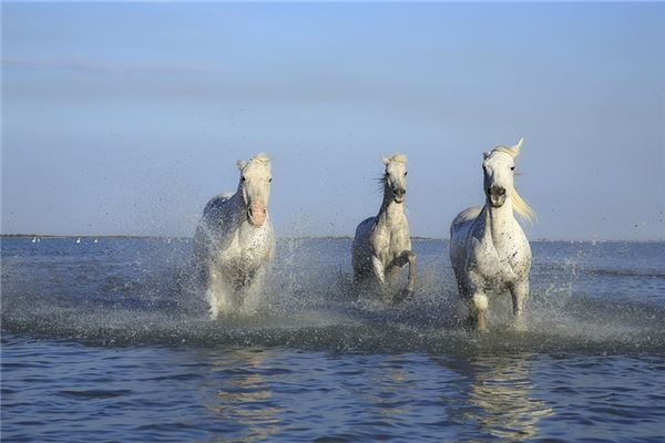 楊依琳的姓名打分結(jié)果_楊依琳五行分析  第1張