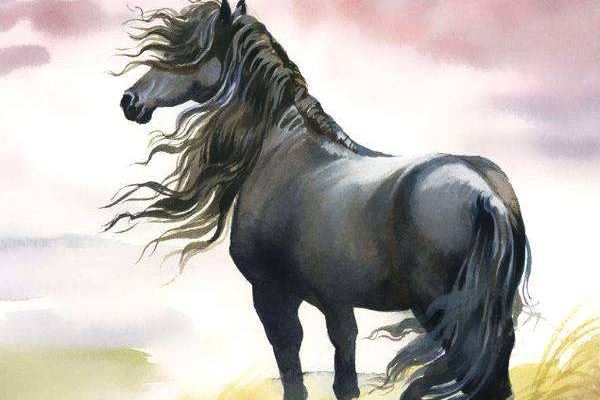 專業取名_寶寶名字大全2013