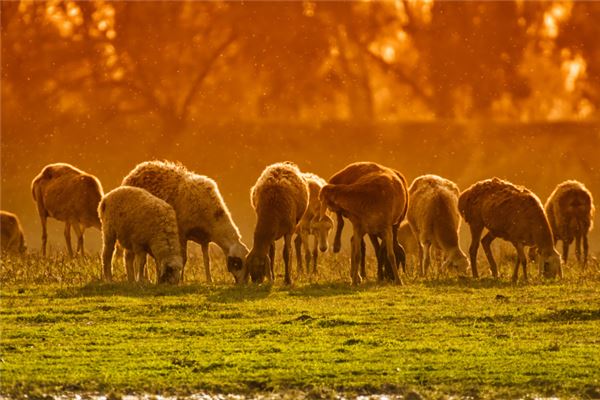 名字推薦:吳宜修