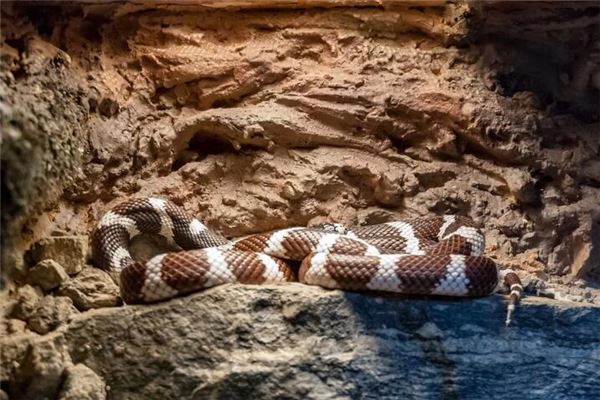 姓名測試:吳高朗