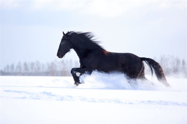 取名禁忌_周文姝