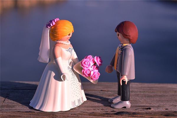 專業(yè)取名_姓名取名  第1張