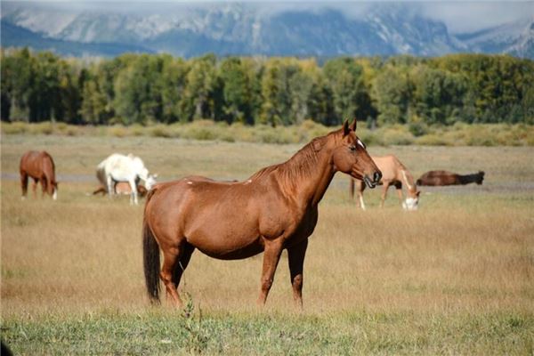 新生兒起名_周英資