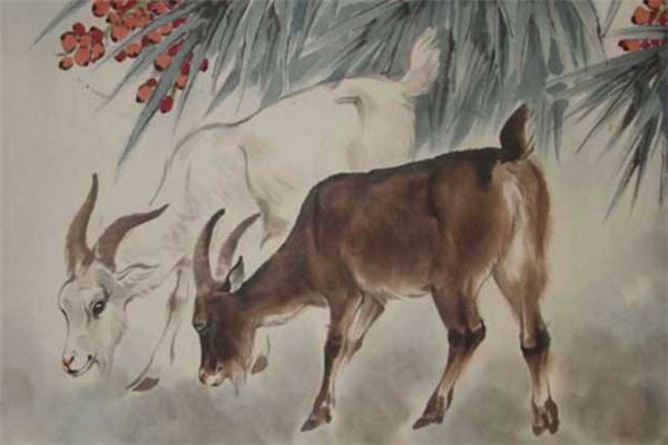 姓名得分測試_周采春