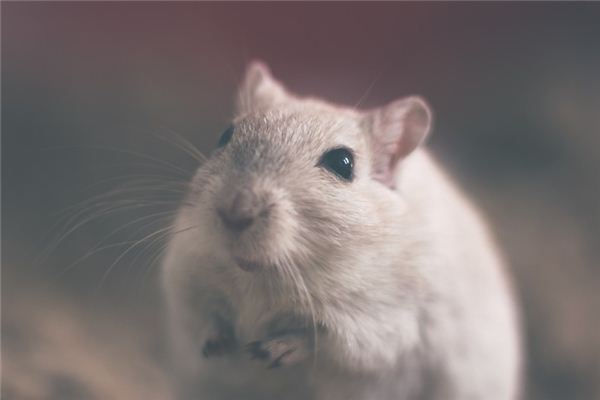 魏依曼的姓名打分結果_魏依曼五行分析  第1張