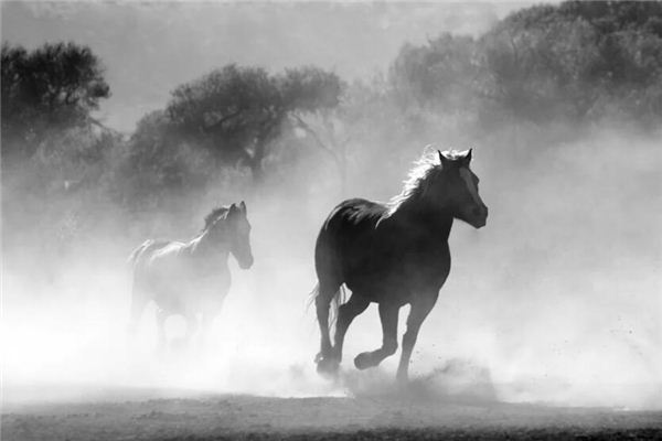 姓名得分:吳依心