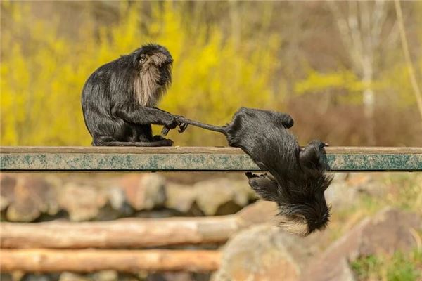 路耐士的姓名打分結(jié)果_路耐士五行分析