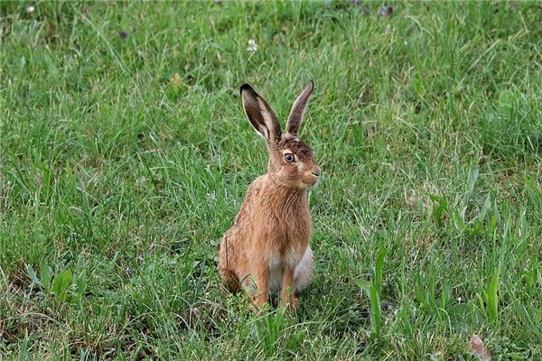五格起名:吳溪藍