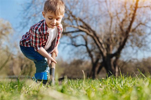 寶寶姓名打分:吳妙音