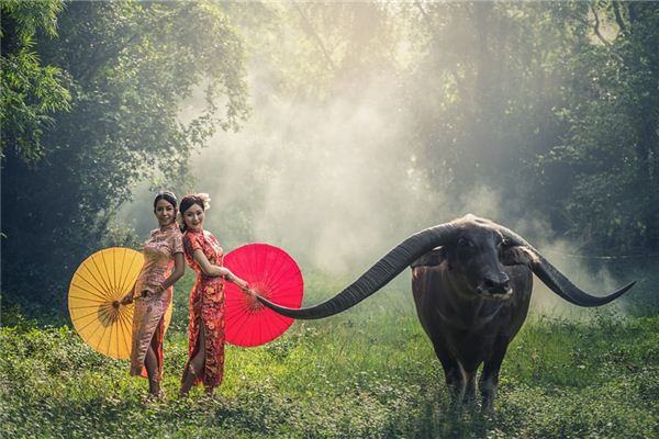 俞敏聲的姓名打分結果_俞敏聲五行分析