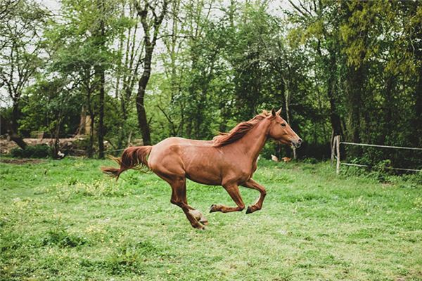 舒翱的姓名打分結果_舒翱五行分析