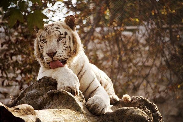 免費(fèi)取名_錢天韻