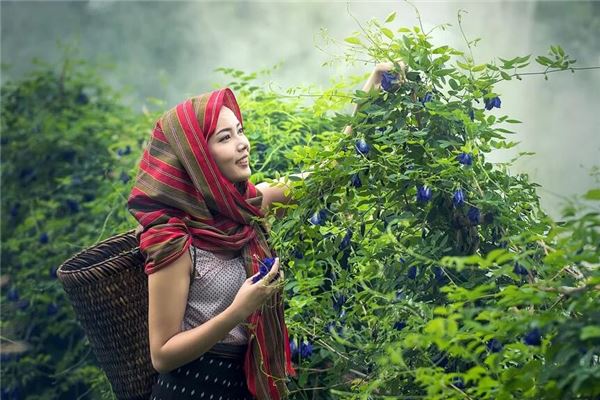 免費起名打分:吳姝