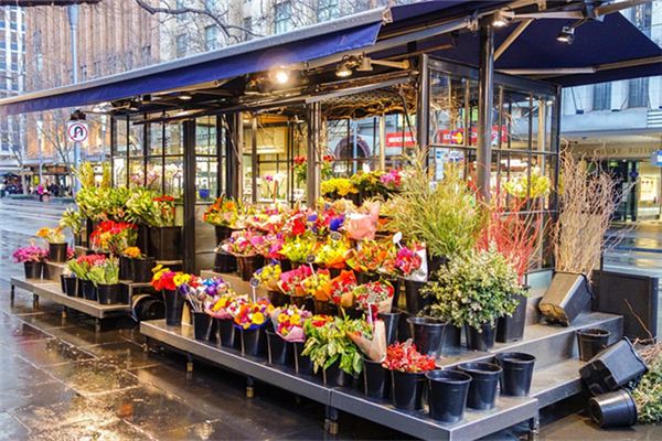 王盛槐的姓名打分結(jié)果_王盛槐五行分析