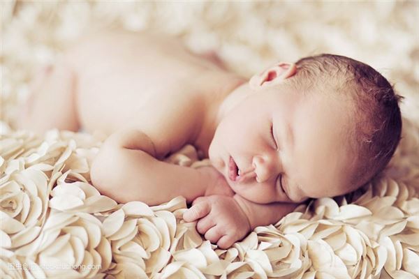 新生兒取名:吳爾竹