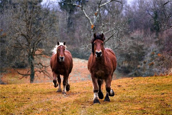 新生兒取名_李星騰