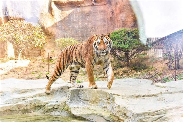 徐博杰的姓名打分結果_徐博杰五行分析