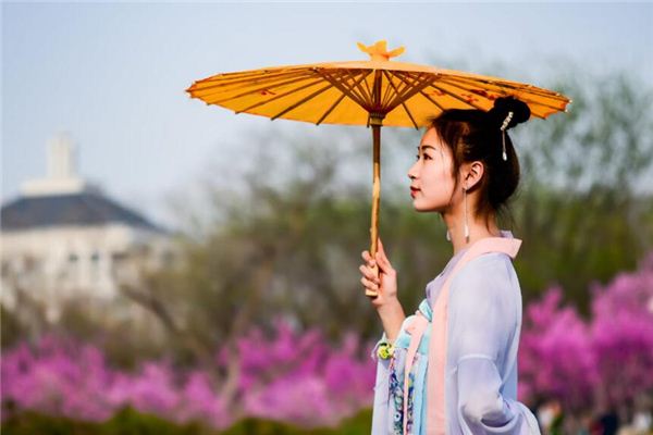 王愛莉的姓名打分結果_王愛莉五行分析