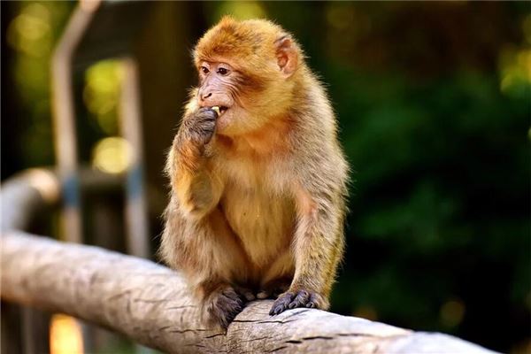 霸氣的游戲玩家名字