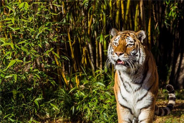 免費(fèi)取名_秦澆水