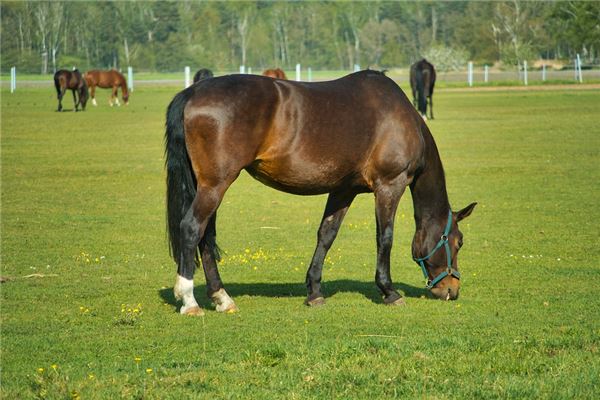 qq網(wǎng)名字體