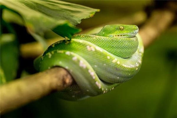 姓名測試:吳思娜