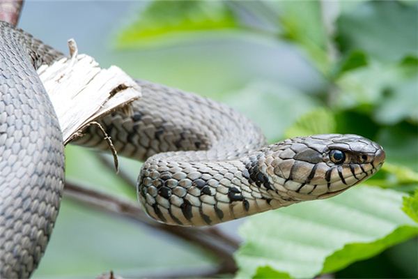 姓名測(cè)試_周皓