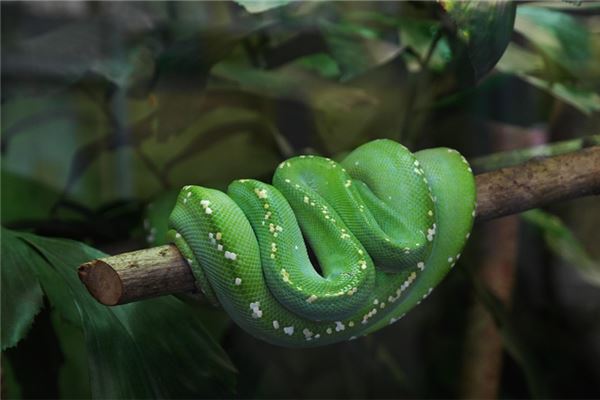 姓氏取名_孫宛菡