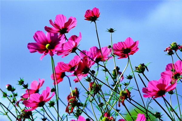 涂佩岑的姓名打分結果_涂佩岑五行分析