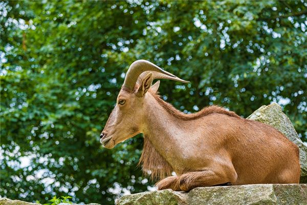黃潔冰的姓名打分結果_黃潔冰五行分析
