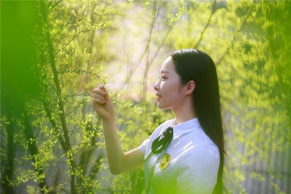 寶寶取名_免費八字名字測試打分  第1張