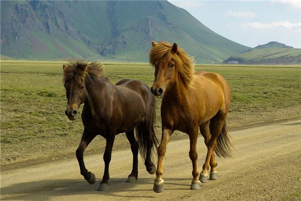 黃長健的姓名打分結果_黃長健五行分析