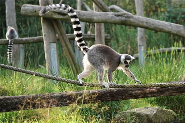 名字推薦_孫蘊和