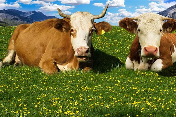 起名字打分:吳問筠