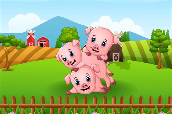 卓嗨網的姓名打分結果_卓嗨網五行分析